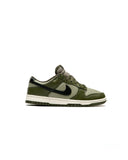 NK DUNK LOW RETRO